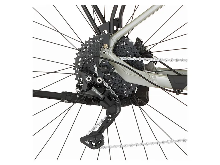 E-Bike ATB »Terra 4.0i«, 29 Zoll