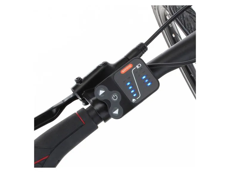 E-Bike Trekking ETH/ETD 2206, Modell 2022, 28 Zoll