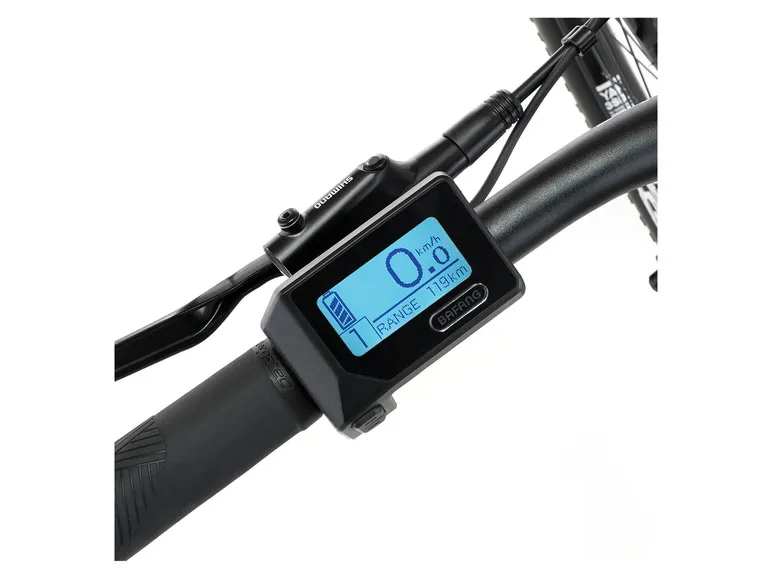 E-Bike ATB »Terra 4.0i«, 29 Zoll