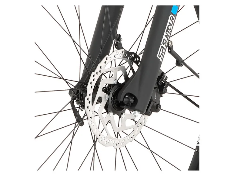 E-Bike ATB »Terra 4.0i«, 29 Zoll