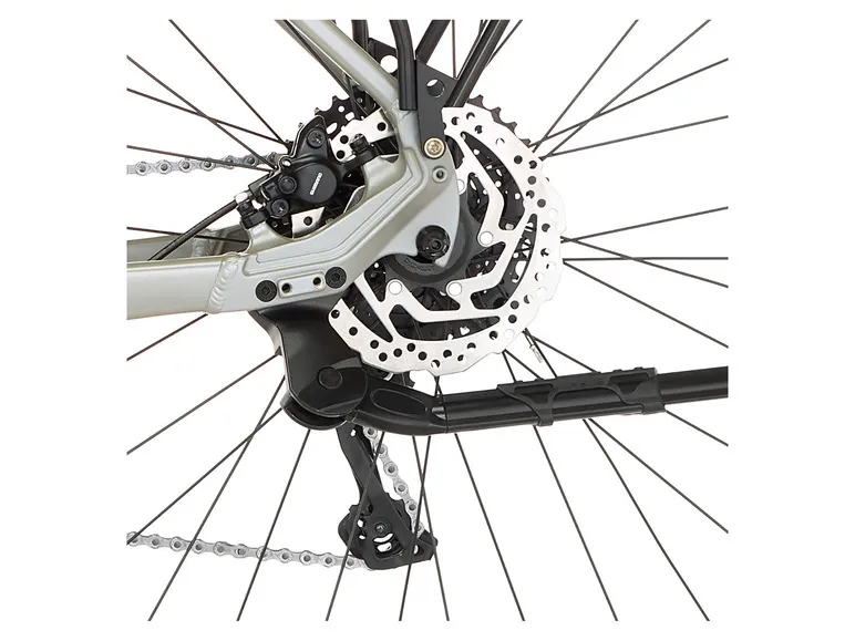 E-Bike ATB »Terra 4.0i«, 29 Zoll