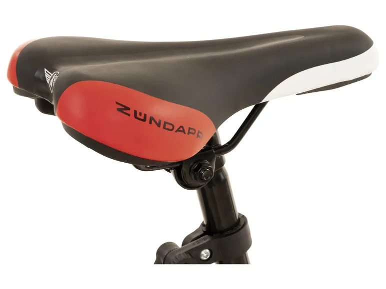 Mountainbike, 24 / 26 / 28 Zoll