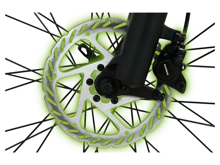 E-Bike Racing Mountainbike »R8 Flex III«, 27,5 Zoll