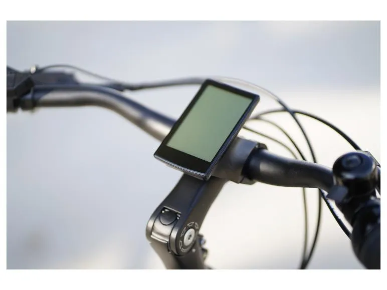 E-Bike Citybike »Geniesser 4.0«, 28 Zoll