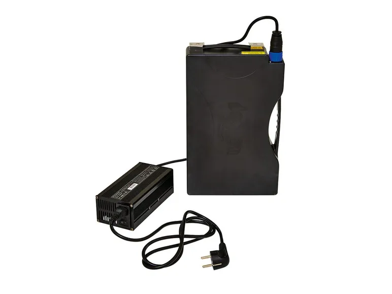 GreenStreet Elektro-Roller »SEED«, mit Lithium-Ionen-Akku, Eco-Modus, 50 km Reichweite