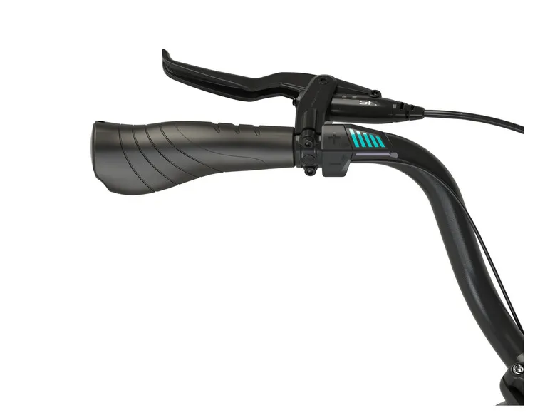 E-Bike City Expedition Geniesser 1.7, 28 Zoll