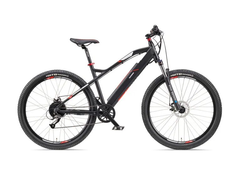E-Bike Mountainbike »Aufsteiger M924« MTB, 27,5 / 29 Zoll
