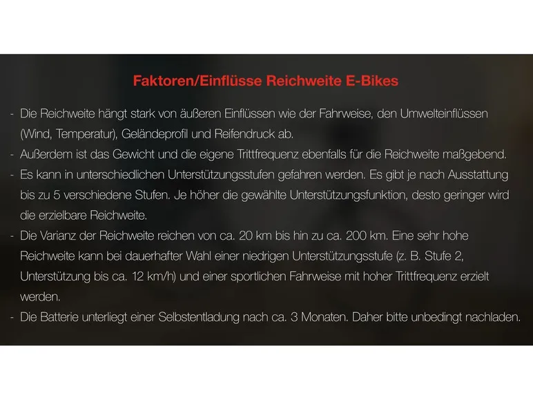 E-Bike City Multitalent RC840, 28 Zoll