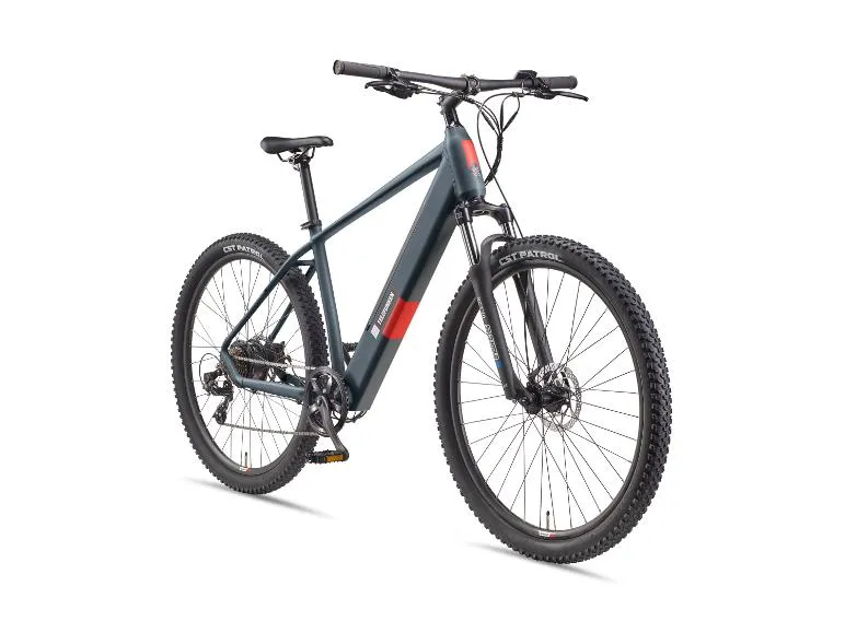 E-Bike Mountainbike »Aufsteiger M921« MTB, 29 Zoll