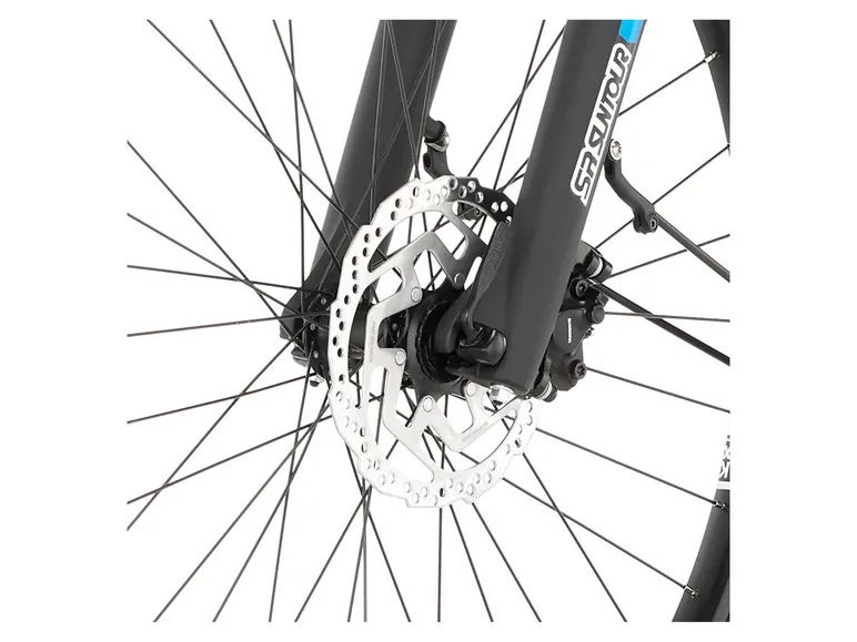 E-Bike ATB »Terra 4.0i«, 29 Zoll