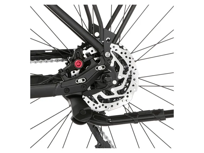 E-Bike Cityrad »Cita 8.0i«, 28 Zoll