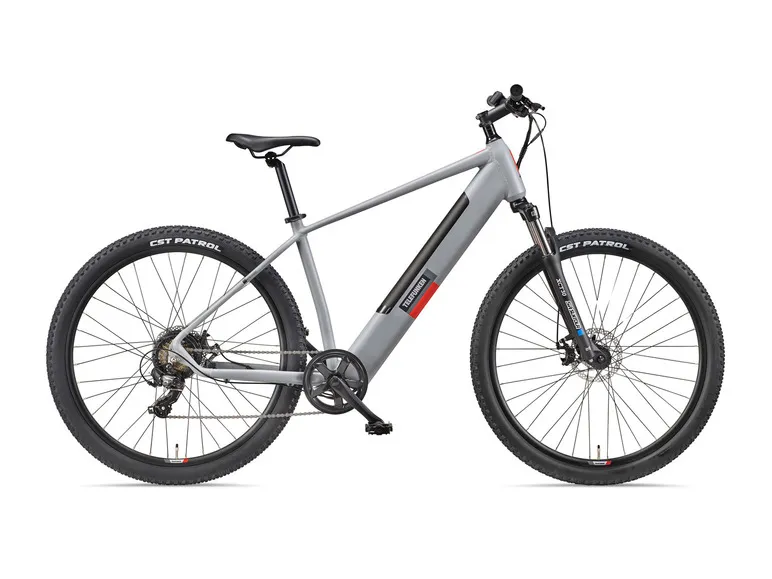 E-Bike Mountainbike »Aufsteiger M921« MTB, 29 Zoll