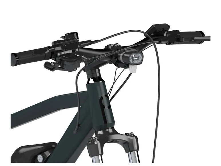 E-Bike Trekking SUV, 29 Zoll