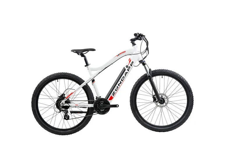 E-Bike Mountainbike »Z898«, 27,5 Zoll