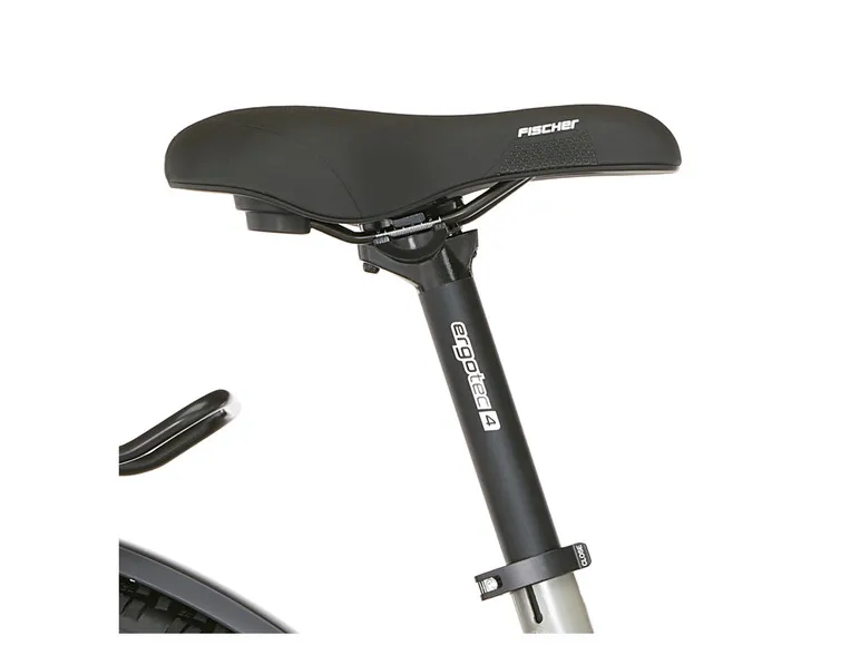 E-Bike ATB »Terra 4.0i«, 29 Zoll