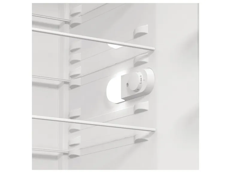 Kühlschrank »R 619 EES5«