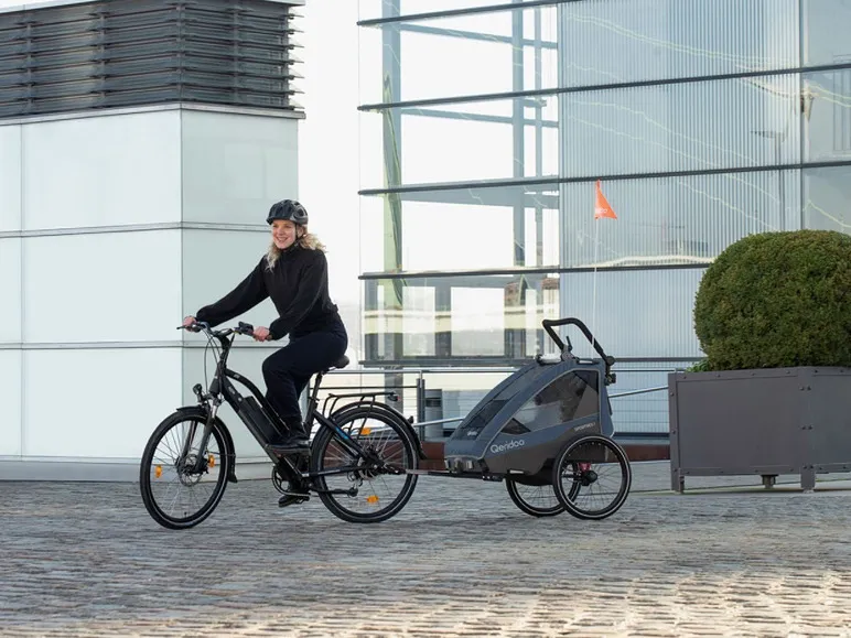 Fahrradanhänger »Sportrex 1 Limited Edition«, Ocean Blue