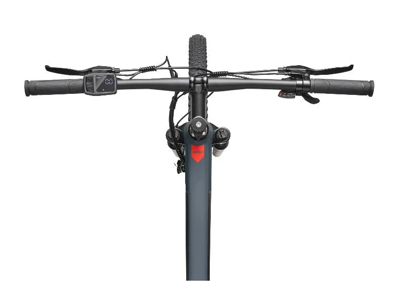 E-Bike Mountainbike »Aufsteiger M921« MTB, 29 Zoll