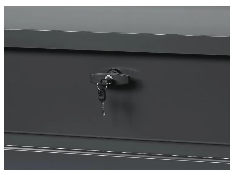 Gartenbox, inkl. Drehschloss mit 2 Schlüsseln