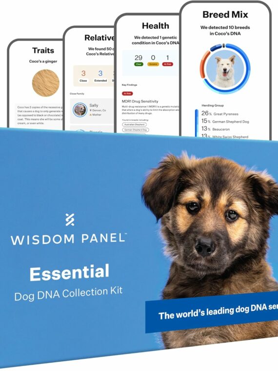 Wisdom Panel Essential Dog DNA Kit: Most Accurate Test for 365+ Breeds  30 Genetic Health Conditions  50+ Traits  Relatives  Ancestry – 1 Pack