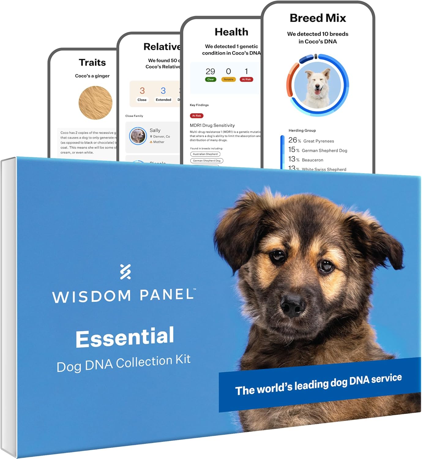 Wisdom Panel Essential Dog DNA Kit: Most Accurate Test for 365+ Breeds  30 Genetic Health Conditions  50+ Traits  Relatives  Ancestry – 1 Pack