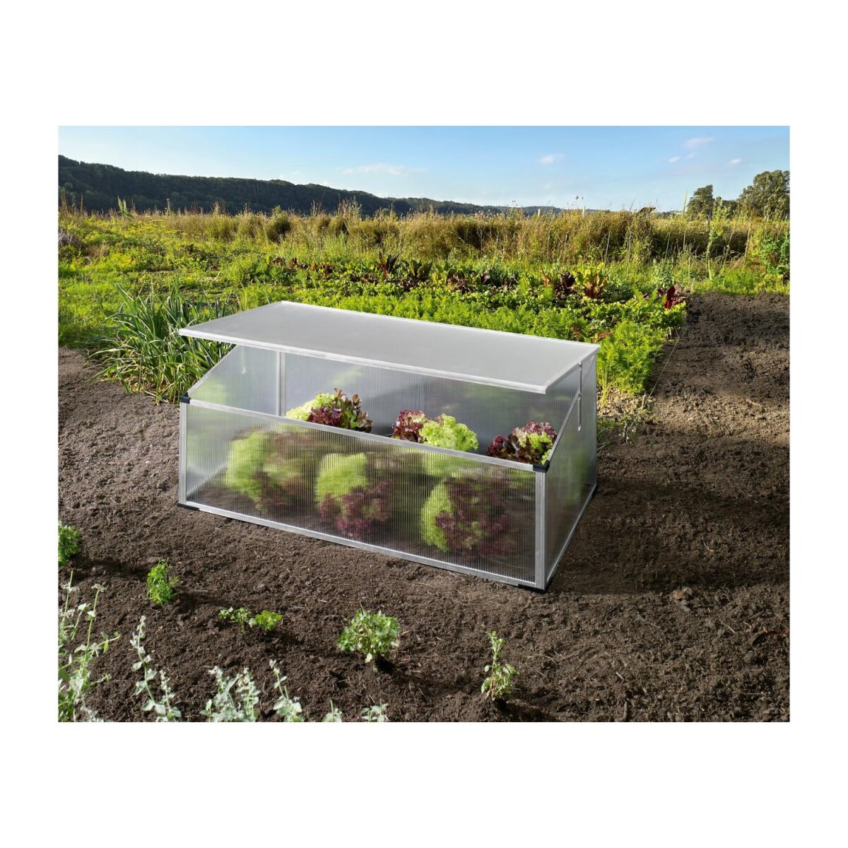 PARKSIDE® Garten-Frühbeet, 100 x 30/40 x 60 cm, Polycarbonat - B-Ware sehr gut