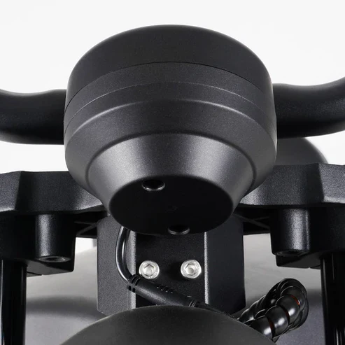 LCD-Display für Citycoco MangoSteen M1P Elektro Chopper Roller