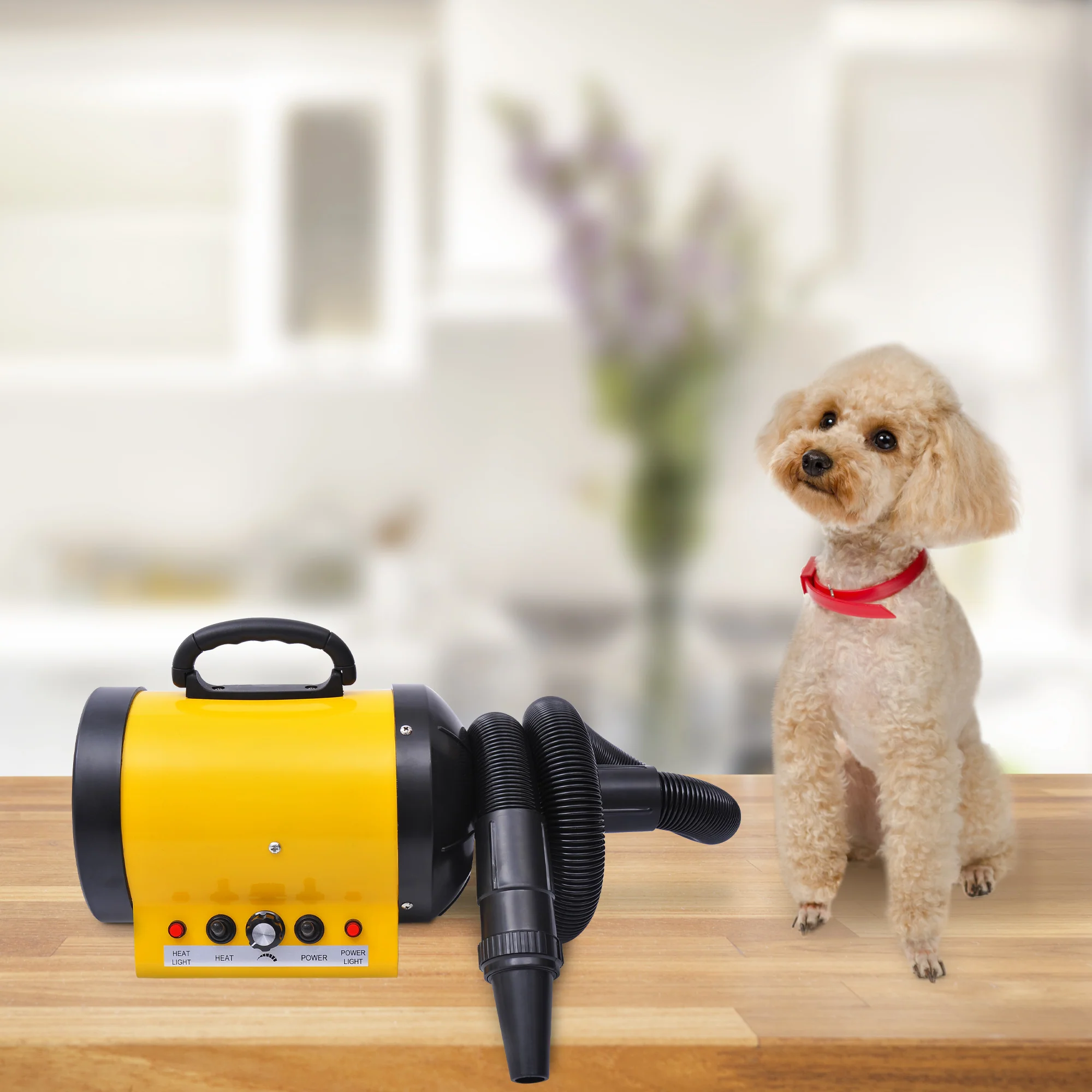 PawHut Hundefön 2800W geräuscharm stufenlos einstellbar