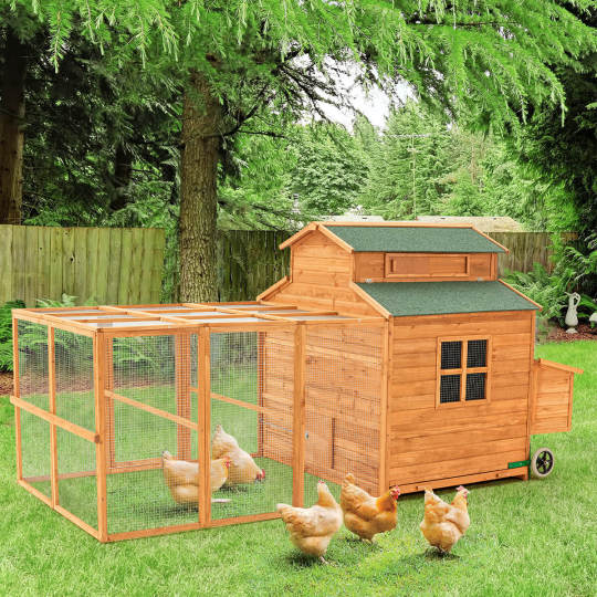 56” Outdoor Weatherproof Wooden Chicken Coop, with nesting box, galvanized wire, asphalt roof and removable tray
