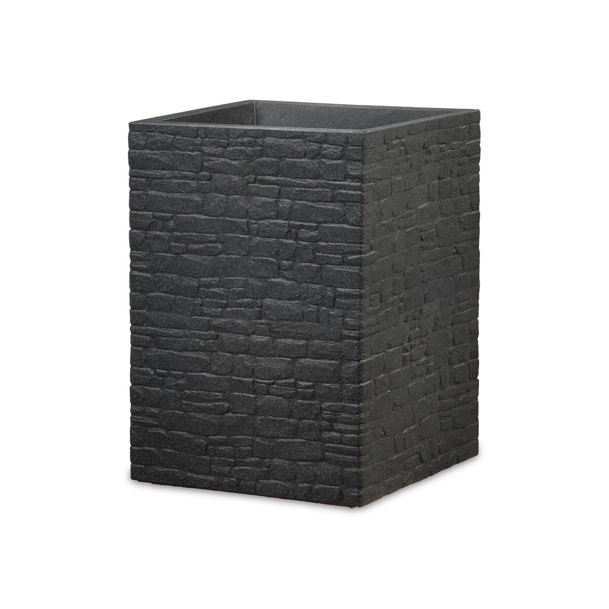 Pflanzen & Pflanzenschutz