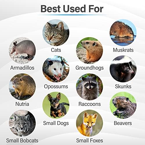 2025 Humane Way Folding 32 Inch Live Humane Animal Trap – Safe Traps for All Animals – Raccoons  Cats  Groundhogs  Opossums – 32′′x10′′x12′′ Black