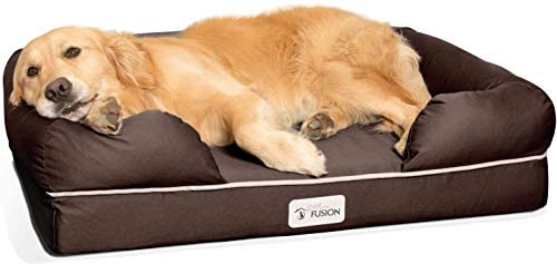 PetFusion Ultimate Orthopedic Dog Bed | Solid CertiPUR-US Memory Foam,  3yr Warranty
