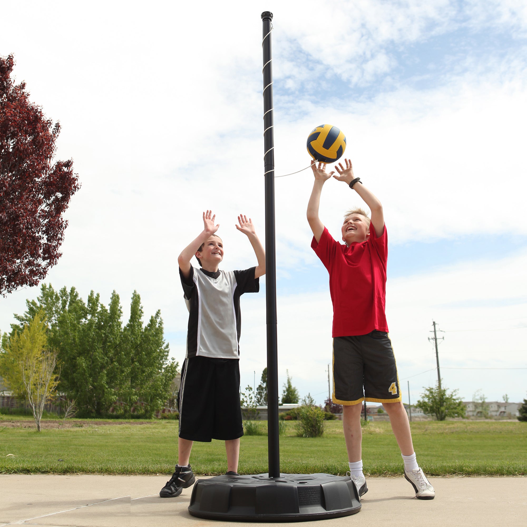 Lifetime Portable 96 inch Tetherball System (90029)