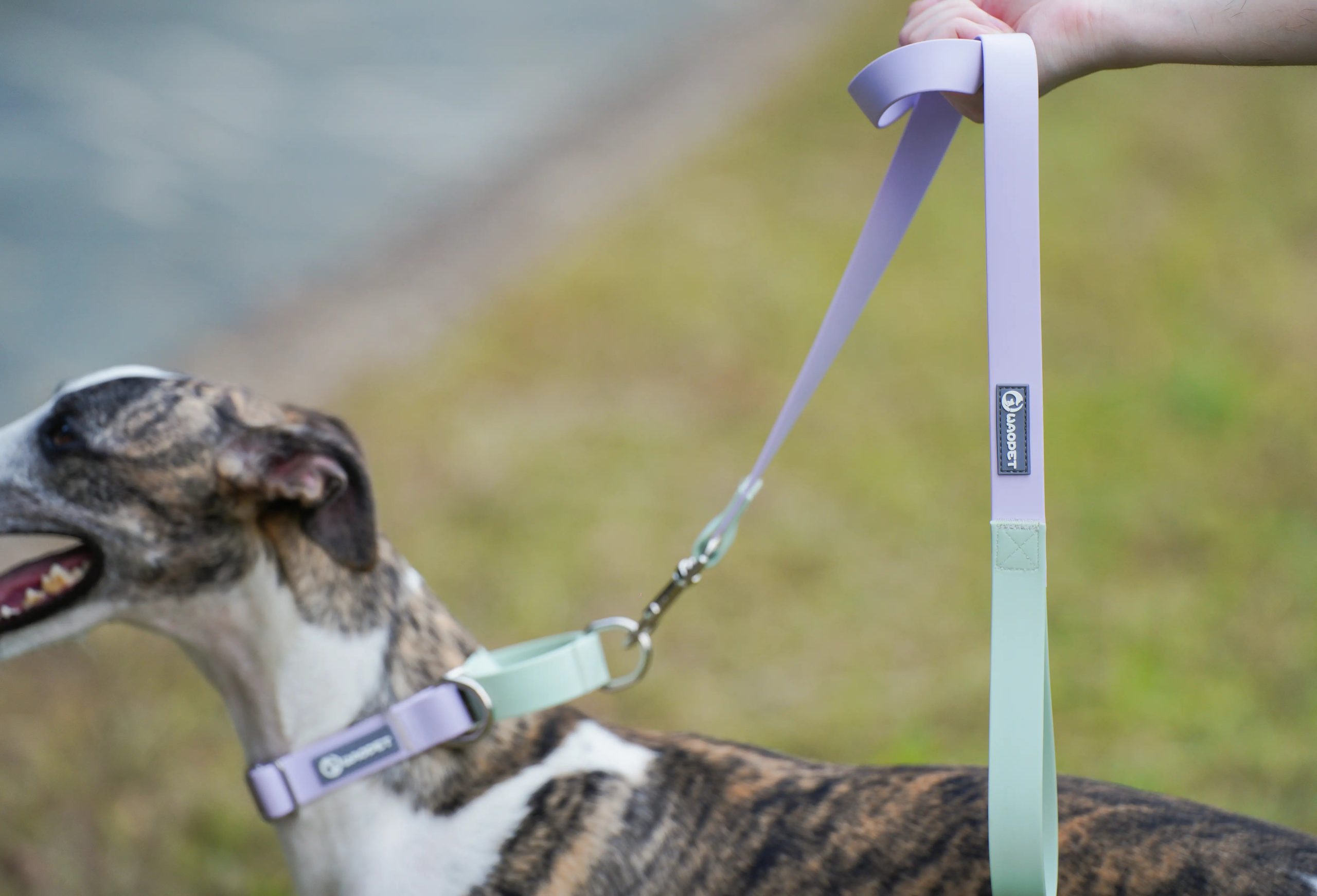 WAOPET | Contrasting Colors Waterproof Dog Leash