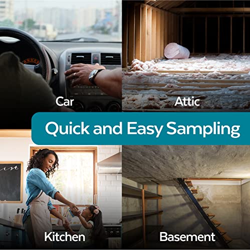 ImmunoLytics DIY Mold Test Kit for Home - Easy to Use Professional Mold Testing Kit - Individual Room Screening Package - Includes Lab Analysis (1 Room/Plate)