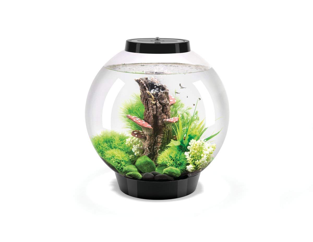 biOrb 8 Gallon Aquarium Multi Color Remote Controlled