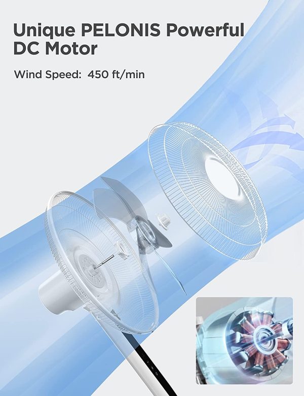 16-in 12-Speed Indoor White Oscillating Pedestal Fan