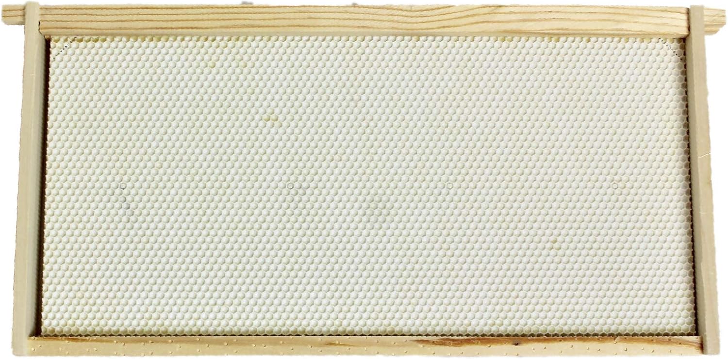 Harvest Lane Honey WWBCD-101 Deep Brood Box with Frames and Foundation