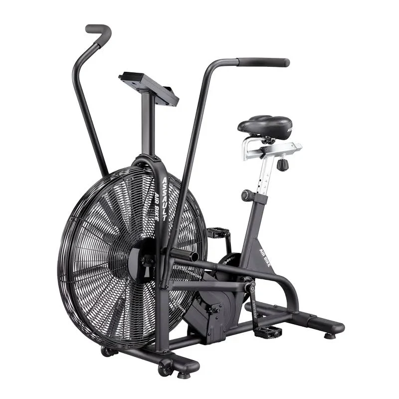 Lifecore Fitness Assault Air Bike Trainer