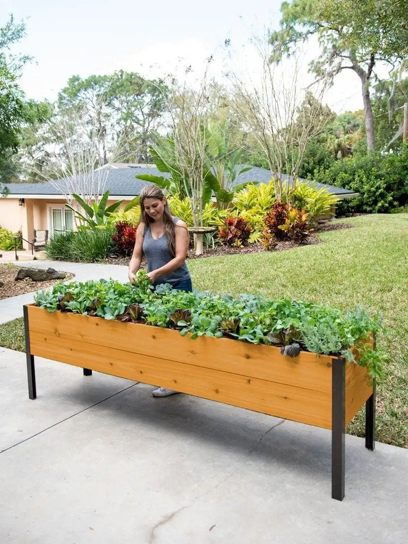 EcoStained Self-Watering Raised Planter Box with Aluminum Legs, Cedar/Cypress, 96′′x24′′x29′′