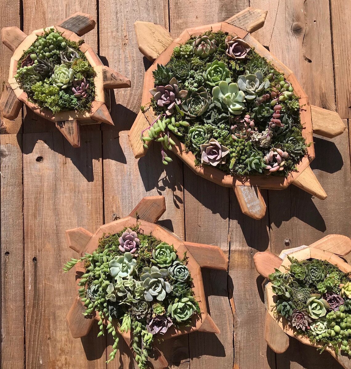 Oceanic Creations Sea Turtle Planter – High-Quality Decorative Garden Pot