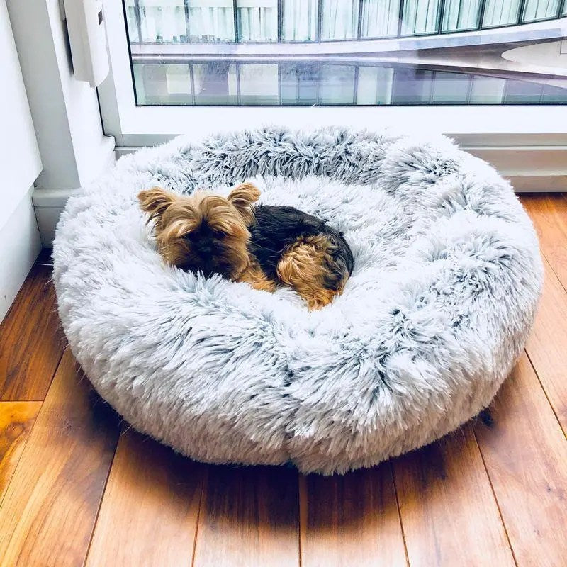 Dog And Cat Beds Puppy Couch Pet Calming Pillows For Anxiety