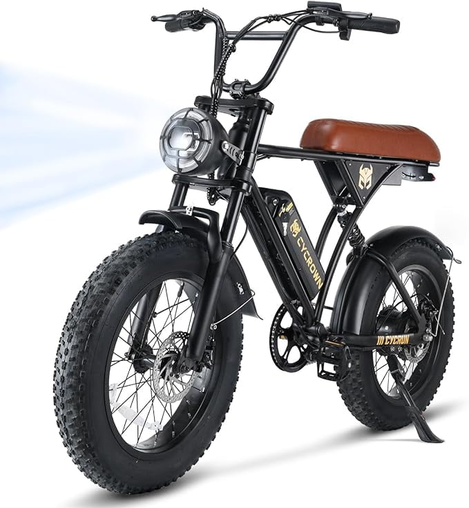 W1-CycRun Electric Bike for Adults 750W Motor with 36V 10.4 Battery, 20MPH 55Miles Moped Style Ebike for Adults, 20