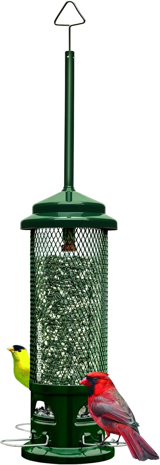 Squirrel Buster Legacy Squirrel-proof Bird Feeder w/4 Metal Perches, 2.6-pound Seed Capacity