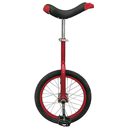 Fun Inch Wheel Unicycle Alloy