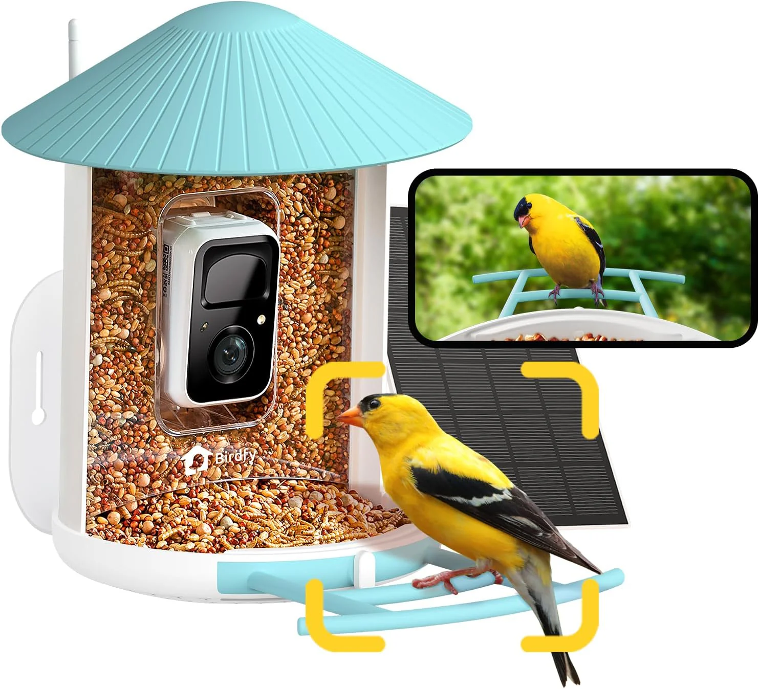 NETVUE by Birdfy AI Smart Bird Feeder with Camera, AI Auto Capture Each Bird Come & Identify 6000+ Bird Species, Cloud Store Bird Videos & Birdwatching On Live, Ideal Gift for Bird Lover (Blue)