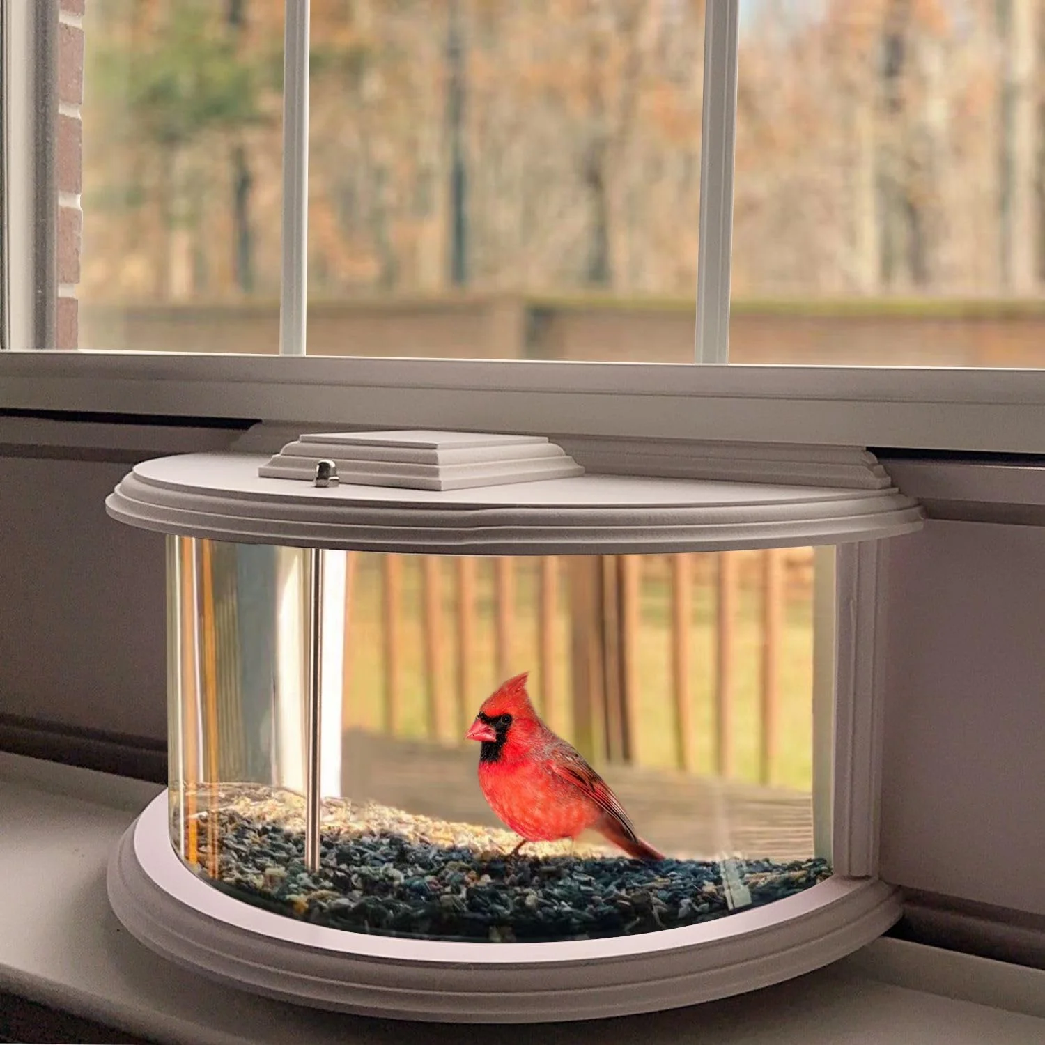 in Window Bird Feeders for Viewing - 180° Clear View Bird Feeder, Durable, Elegant, Fits Windows 27-35