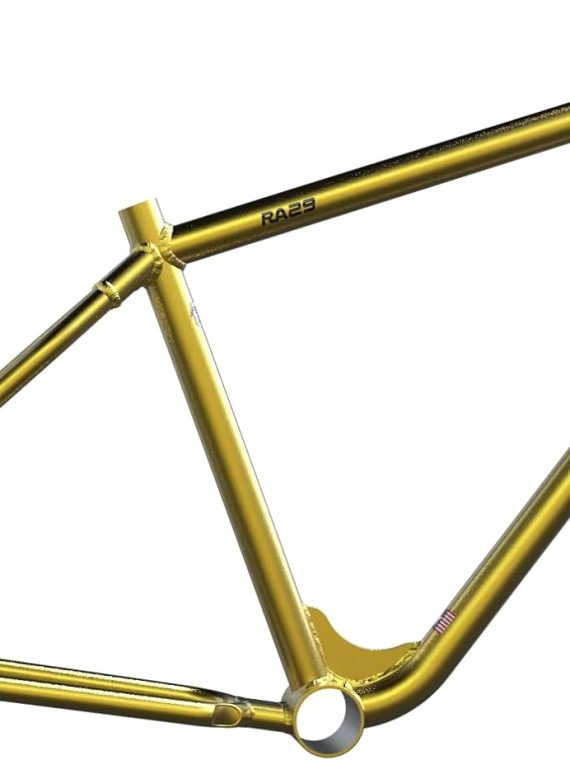 RA29 BMX Bike Frame