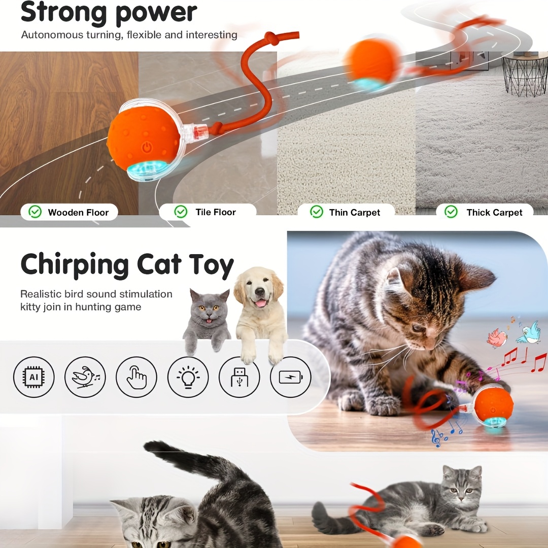 Cat and Dog Food, Pet toys,Treats, and Supplies | Free Shipping at yppet.com