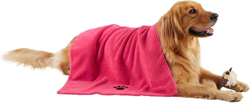 Cat and Dog Food, Pet toys,Treats, and Supplies | Free Shipping at yppet.com